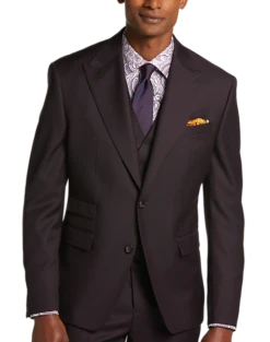 Tayion Classic Fit Suit Separates Coat, Wine Plum